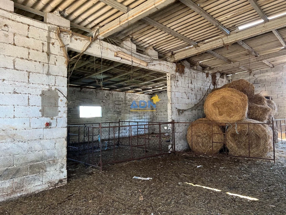 Terreno para Venda em Ladoeiro Foto 9