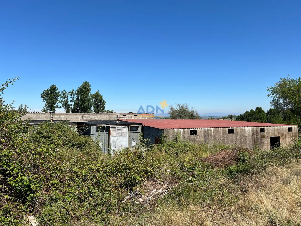 Terreno para Venda em Ladoeiro Foto 20
