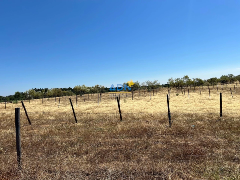 Terreno para Venda em Ladoeiro Foto 32