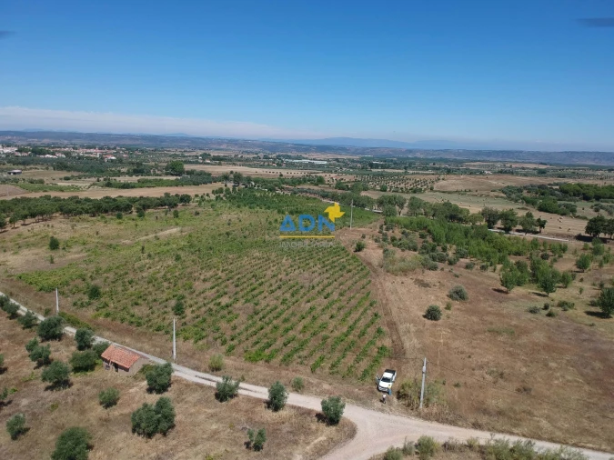 Terreno para Venda em Ladoeiro Foto 44