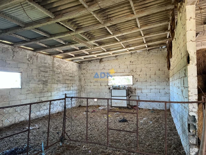 Terreno para Venda em Ladoeiro Foto 10