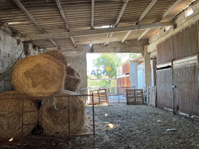 Terreno para Venda em Ladoeiro Foto 13
