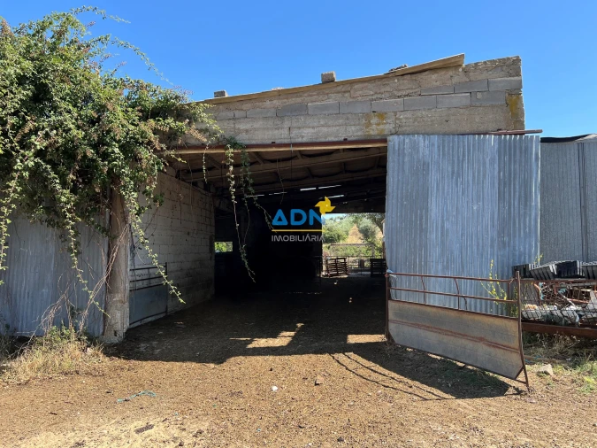 Terreno para Venda em Ladoeiro Foto 8