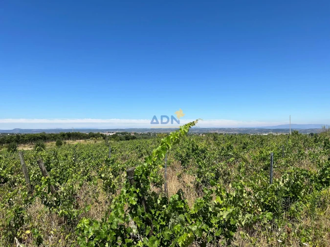 Terreno para Venda em Ladoeiro Foto 30