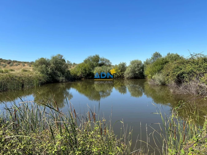 Terreno para Venda em Ladoeiro Foto 2