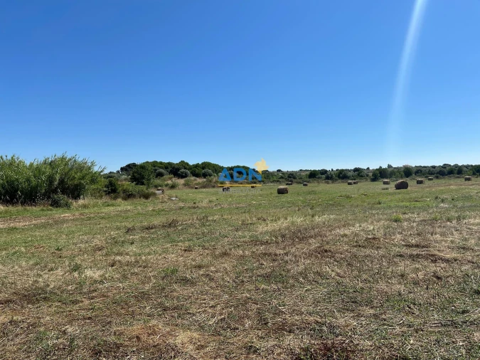 Terreno para Venda em Ladoeiro Foto 25