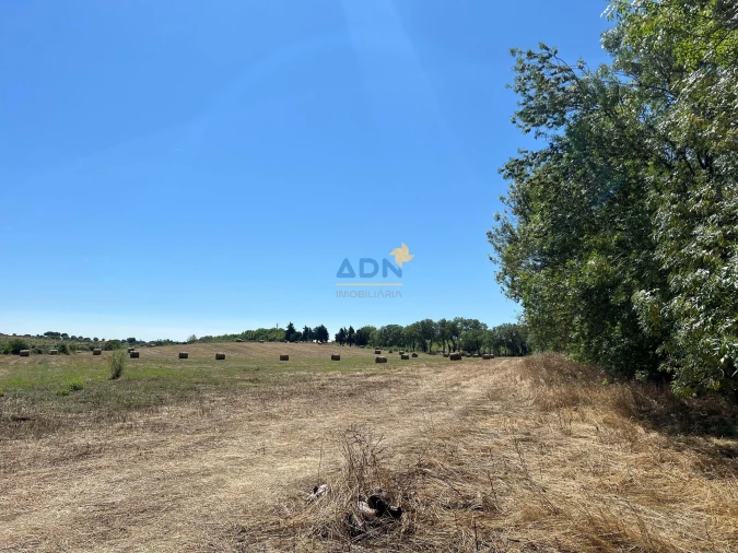 Terreno para Venda em Ladoeiro Foto 28