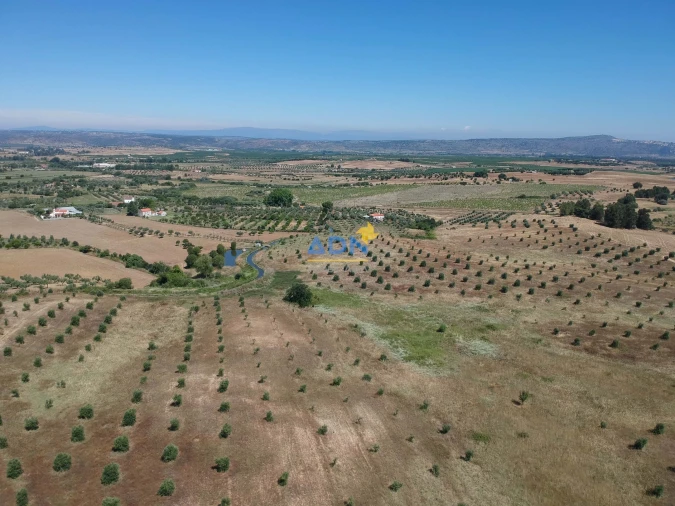 Terreno para Venda em Ladoeiro Foto 38