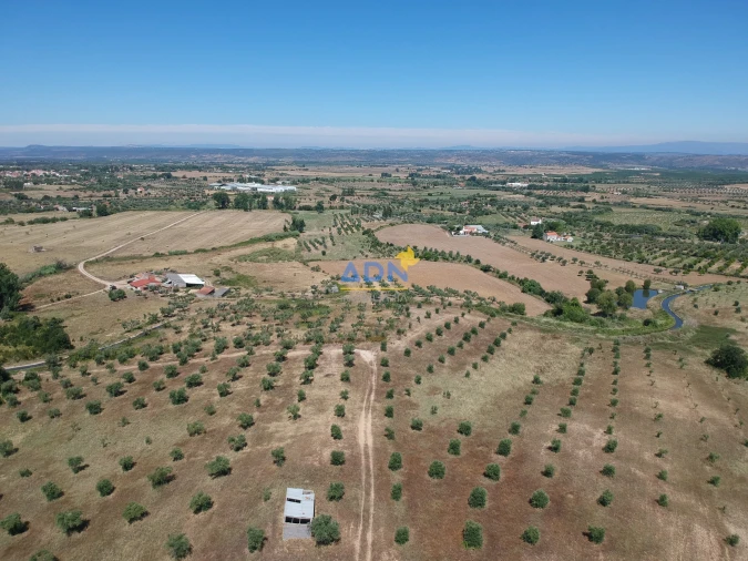 Terreno para Venda em Ladoeiro Foto 37