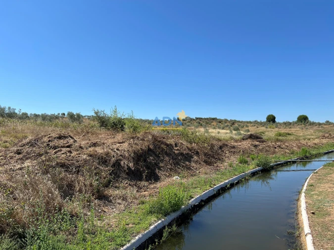Terreno para Venda em Ladoeiro Foto 18