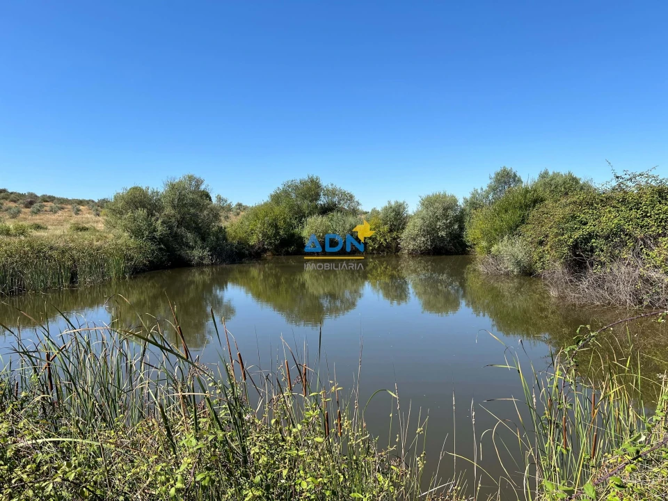 Terreno para Venda em Ladoeiro Foto 2