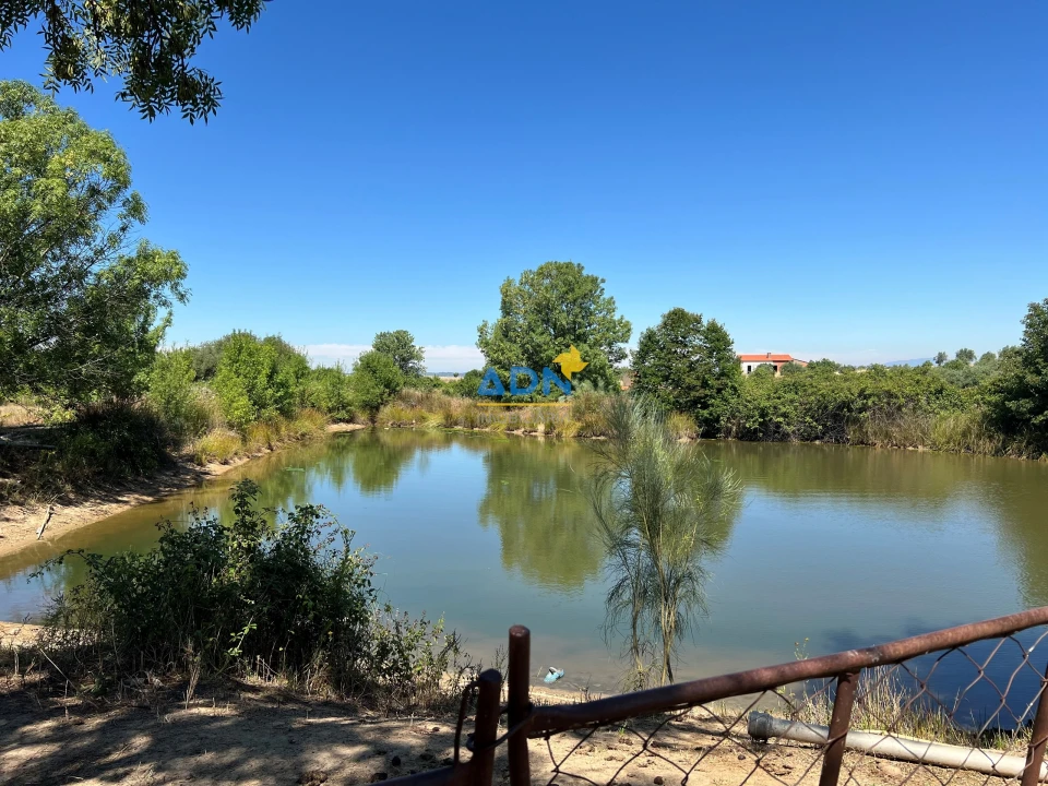 Terreno para Venda em Ladoeiro Foto 26