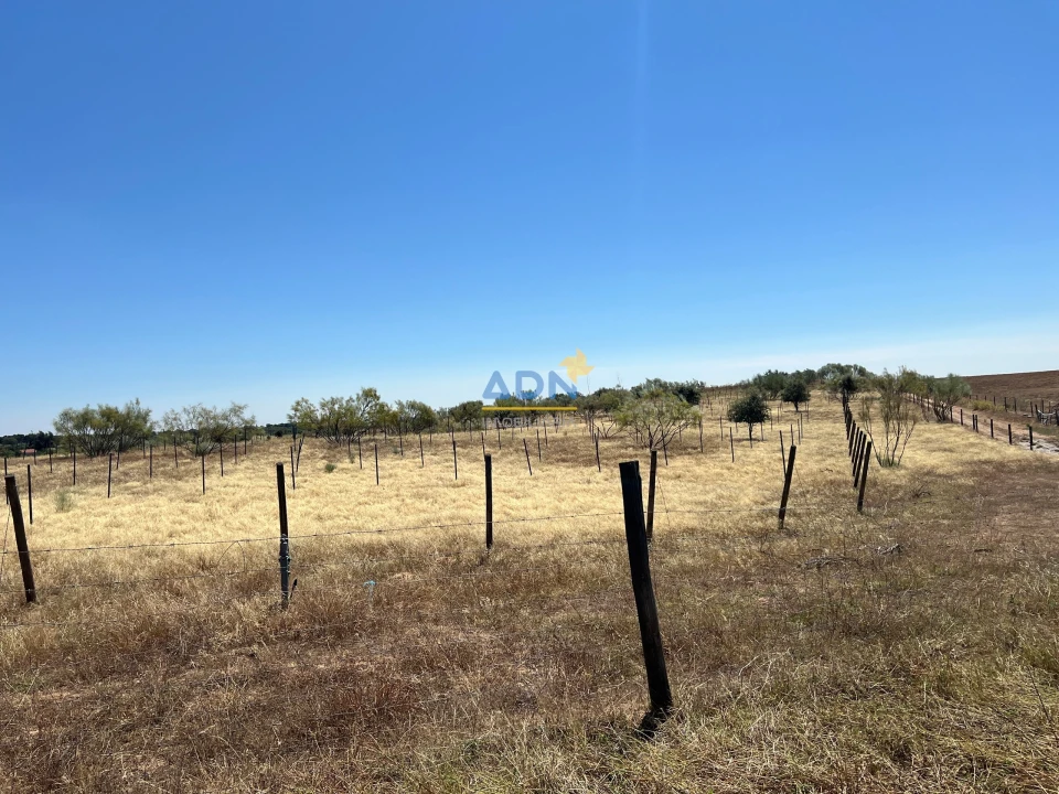 Terreno para Venda em Ladoeiro Foto 31