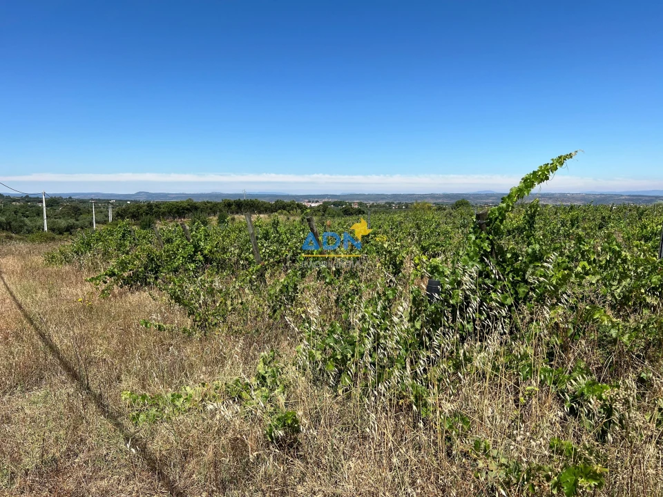 Terreno para Venda em Ladoeiro Foto 29
