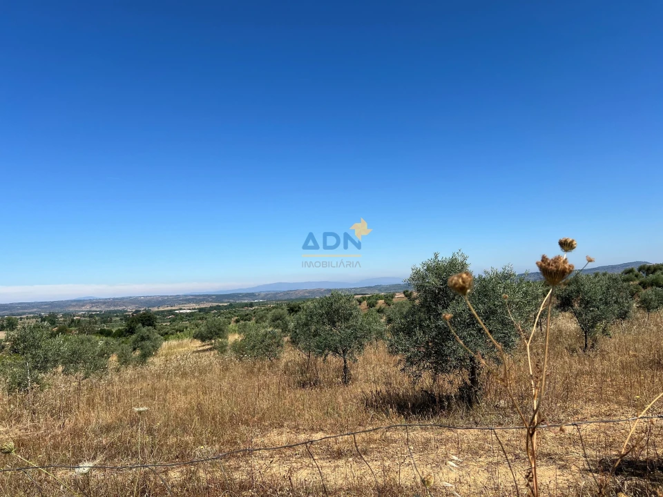 Terreno para Venda em Ladoeiro Foto 22