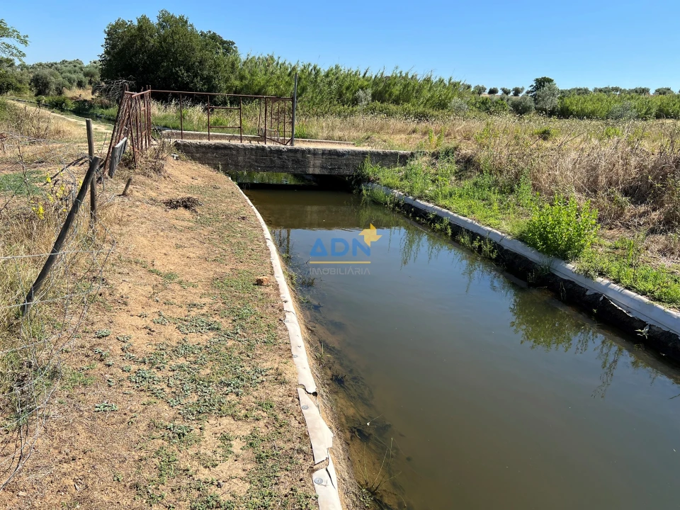 Terreno para Venda em Ladoeiro Foto 15