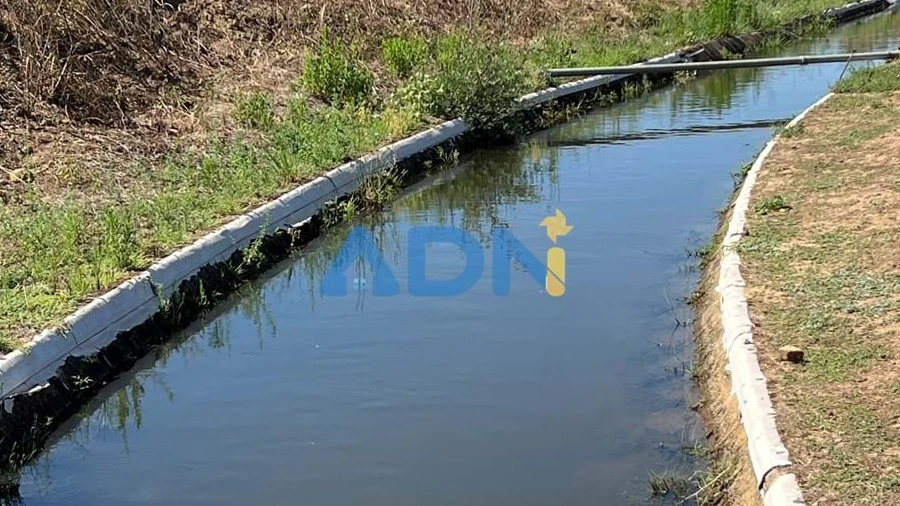 Terreno para Venda em Ladoeiro