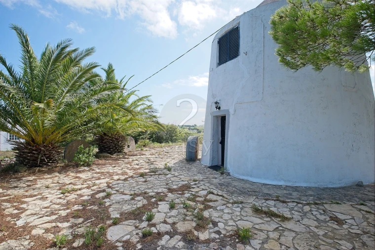 Moradia T0 para Venda em Ribafria e Pereiro de Palhacana Foto 16