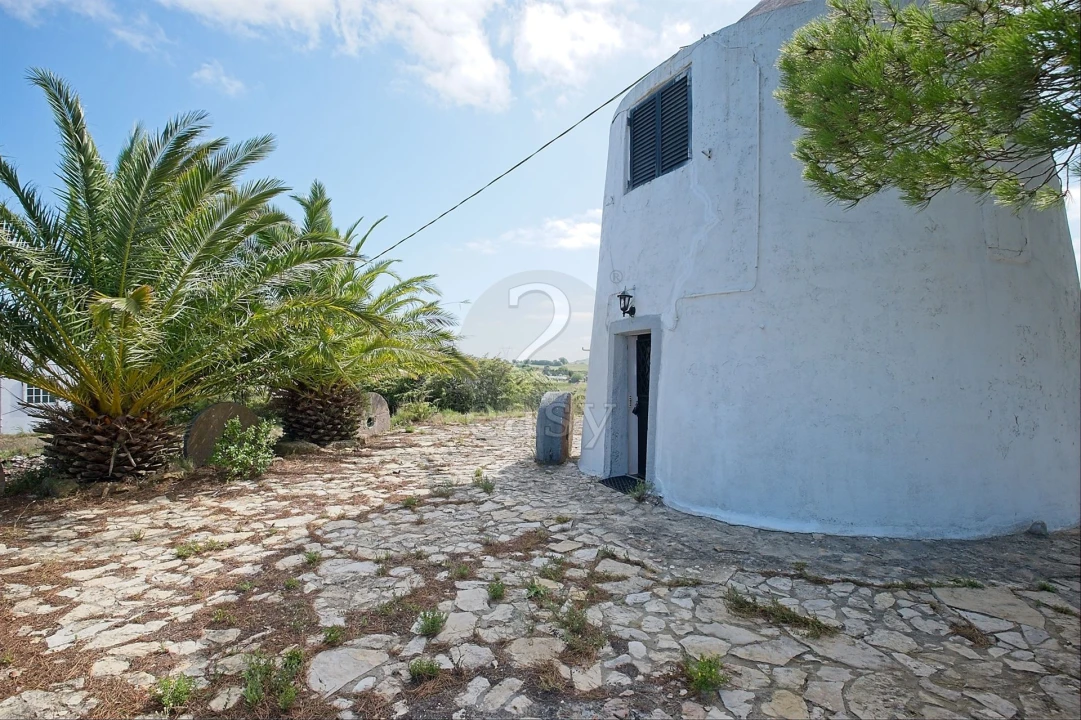 Moradia T0 para Venda em Ribafria e Pereiro de Palhacana Foto 16