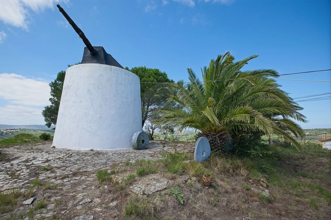 Moradia T0 para Venda em Ribafria e Pereiro de Palhacana Foto 14
