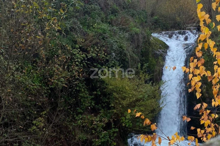 Terreno para Venda em Folgosinho Foto 13