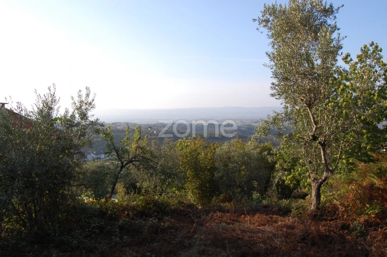 Terreno para Venda em Folgosinho Foto 4