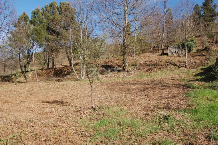 Terreno para Venda em Folgosinho Foto 3