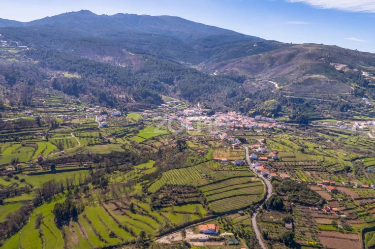 Terreno para Venda em Folgosinho Foto 19