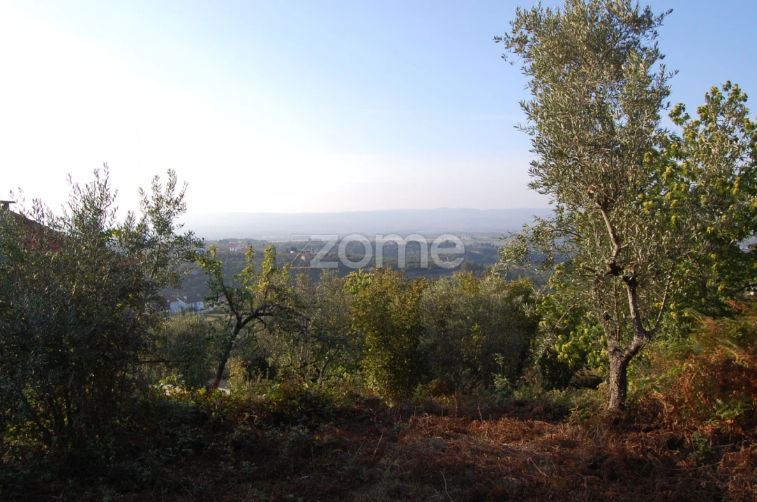 Terreno para Venda em Folgosinho Foto 4