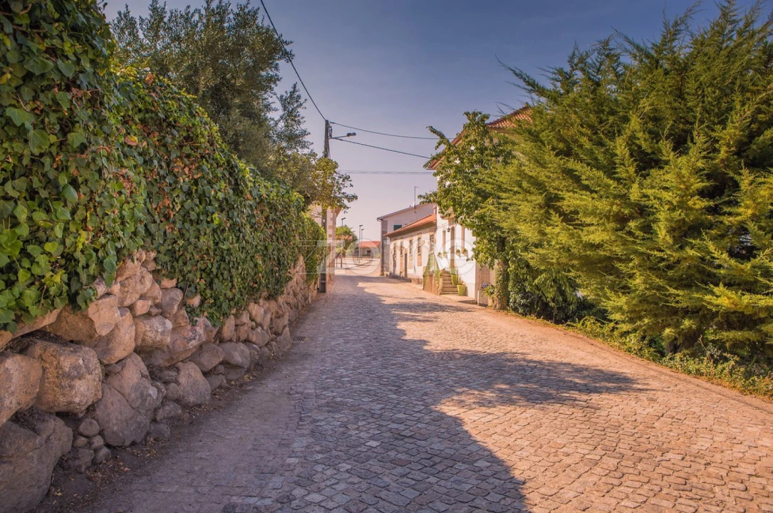 Terreno para Venda em Folgosinho Foto 18