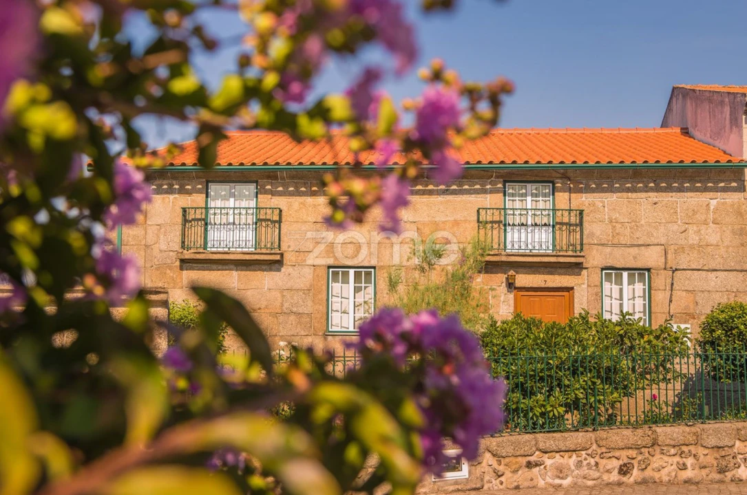 Terreno para Venda em Folgosinho Foto 8