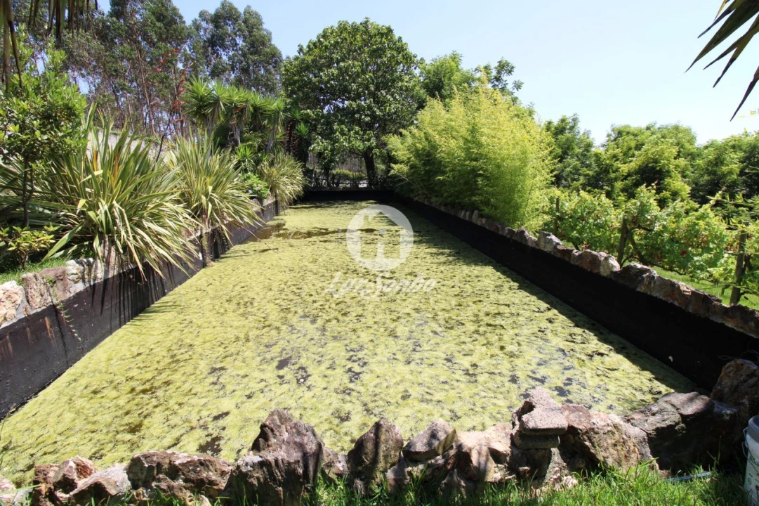 Quinta T1 para Venda em Ribeirão Foto 5