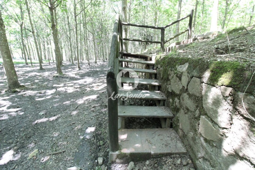 Quinta T1 para Venda em Ribeirão Foto 14