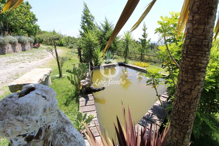 Quinta T1 para Venda em Ribeirão Foto 3