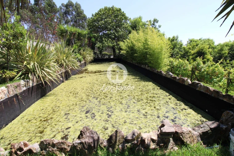Quinta T1 para Venda em Ribeirão Foto 5