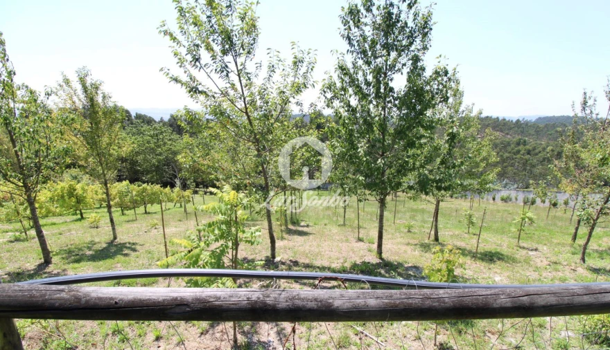 Quinta T1 para Venda em Ribeirão Foto 9