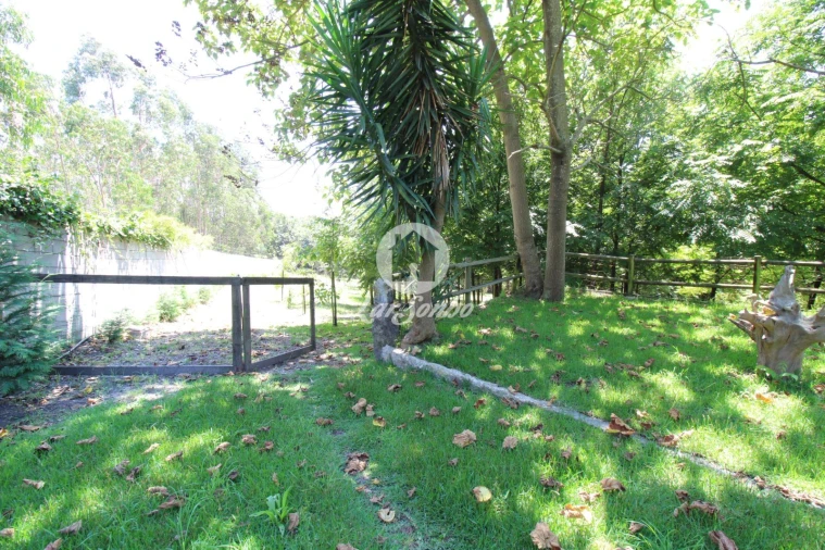 Quinta T1 para Venda em Ribeirão Foto 13