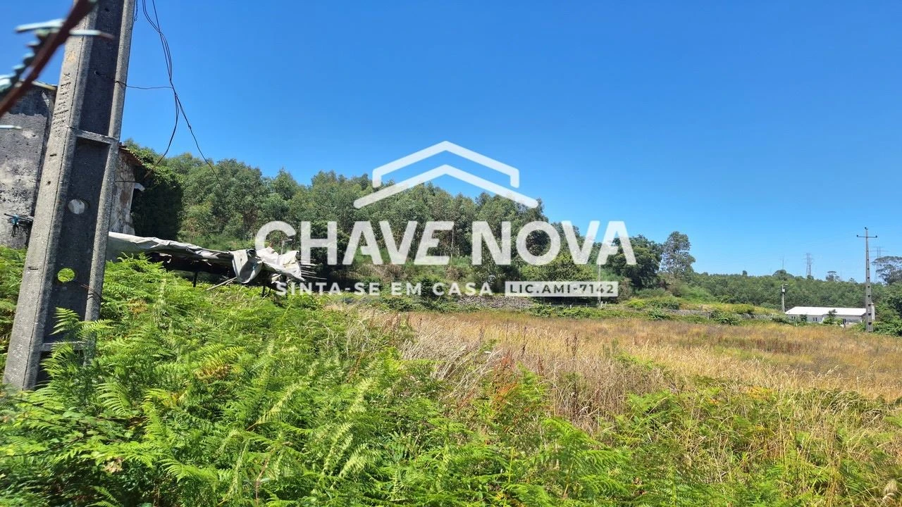 Quinta T2 para Venda em Macieira de Cambra Foto 8