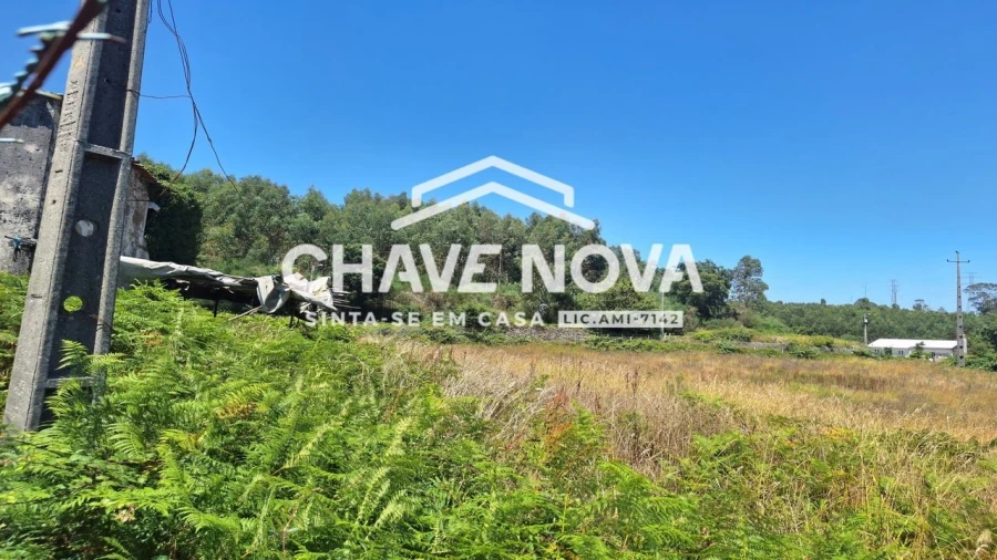 Quinta T2 para Venda em Macieira de Cambra Foto 8