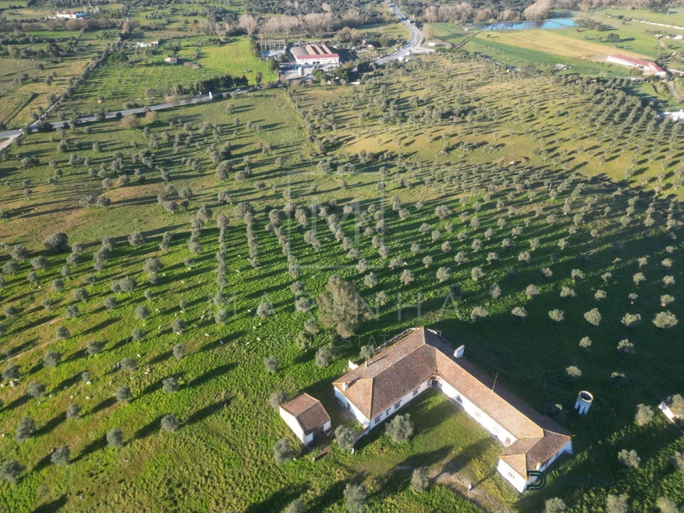 Quinta para Venda em Arraiolos Foto 2