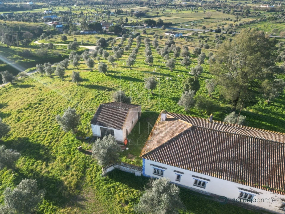 Quinta para Venda em Arraiolos Foto 3