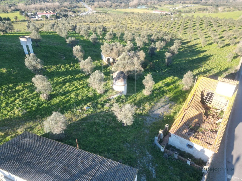 Quinta para Venda em Arraiolos Foto 14