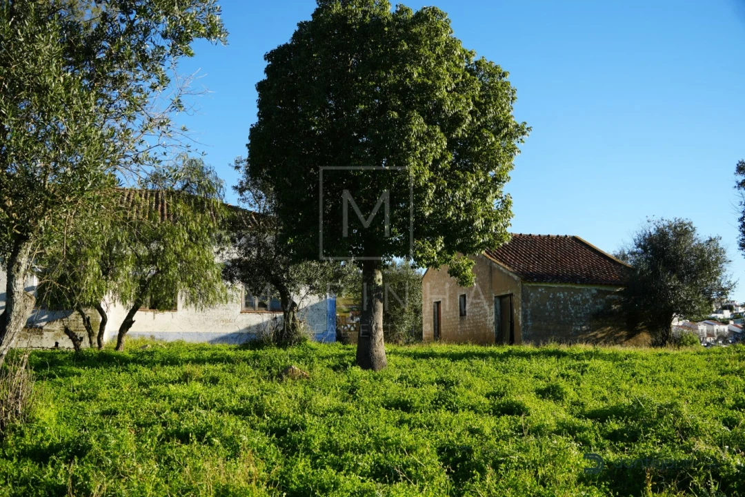 Quinta para Venda em Arraiolos Foto 29