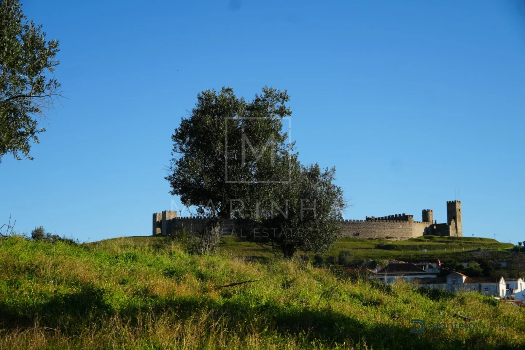 Quinta para Venda em Arraiolos Foto 37