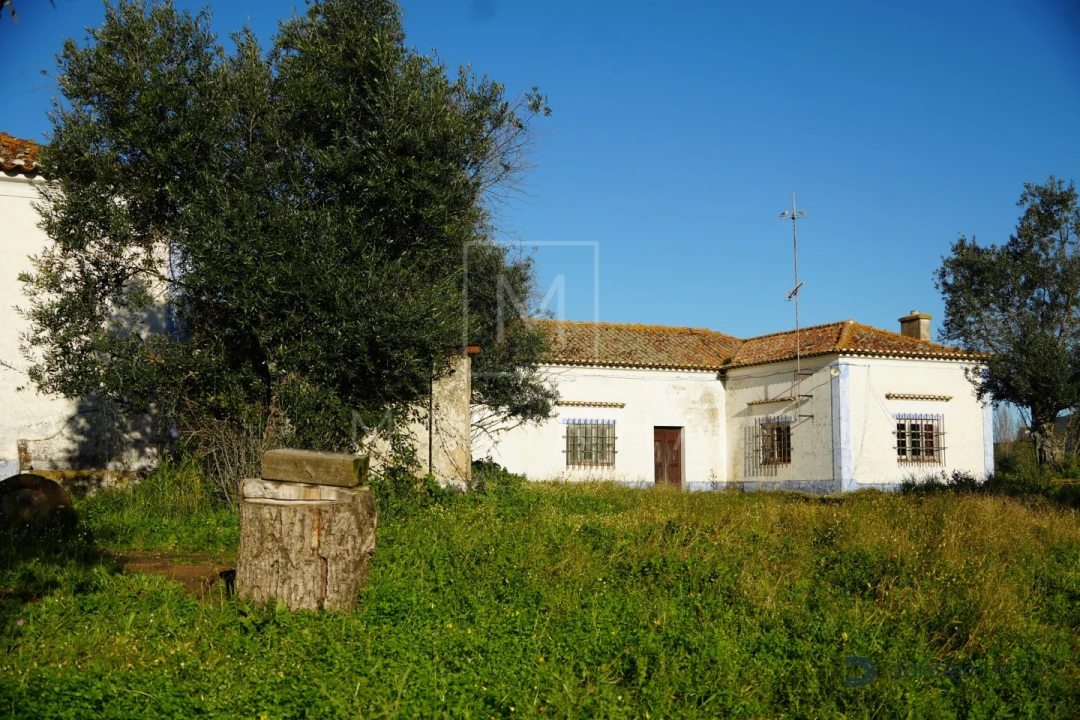 Quinta para Venda em Arraiolos Foto 38
