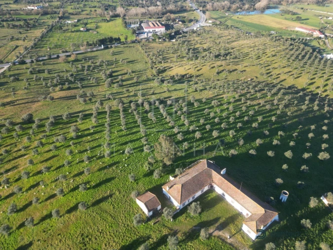 Quinta para Venda em Arraiolos Foto 2
