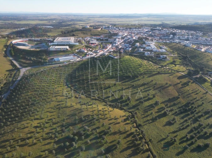 Quinta para Venda em Arraiolos Foto 4