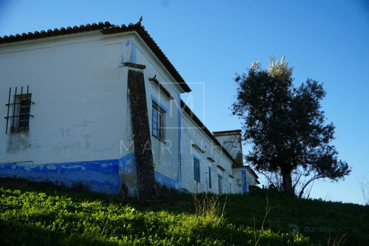 Quinta para Venda em Arraiolos Foto 21