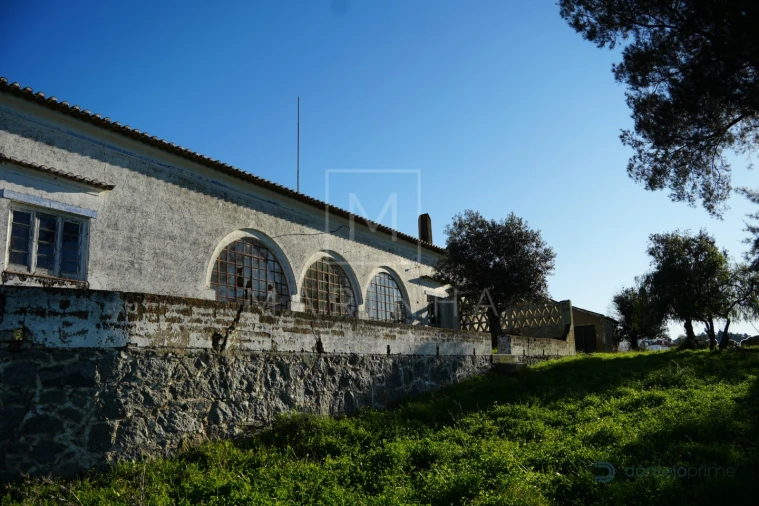 Quinta para Venda em Arraiolos Foto 28