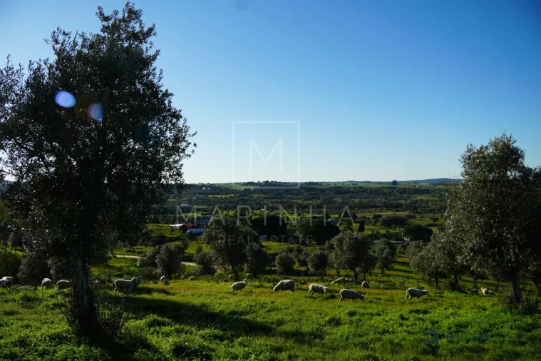 Quinta para Venda em Arraiolos Foto 35